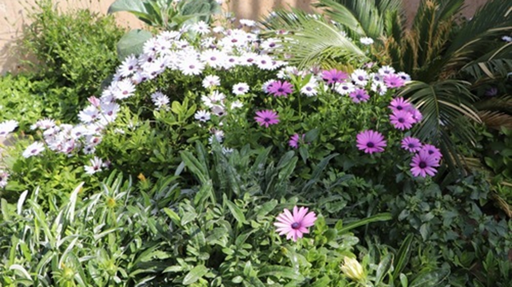 طبیعت بهاری محوطه بیمارستان شهید مدرس در قاب تصویر